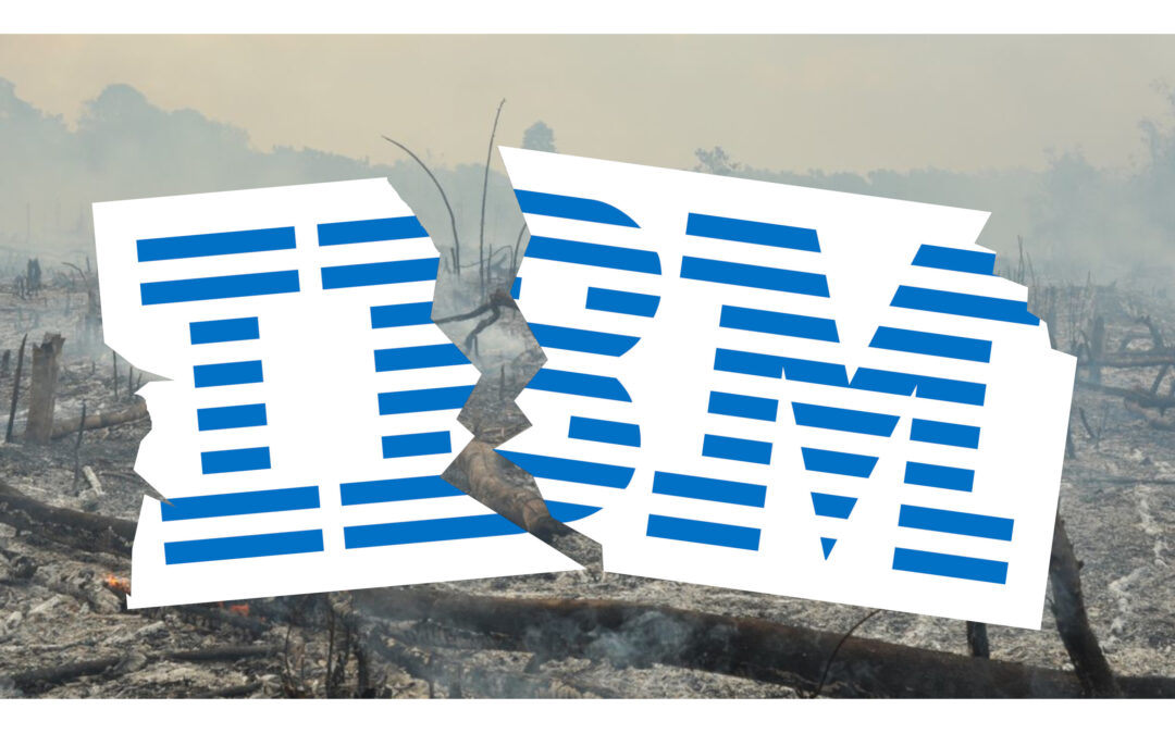 IBM’s Demise – Why You Can Do MUCH Better