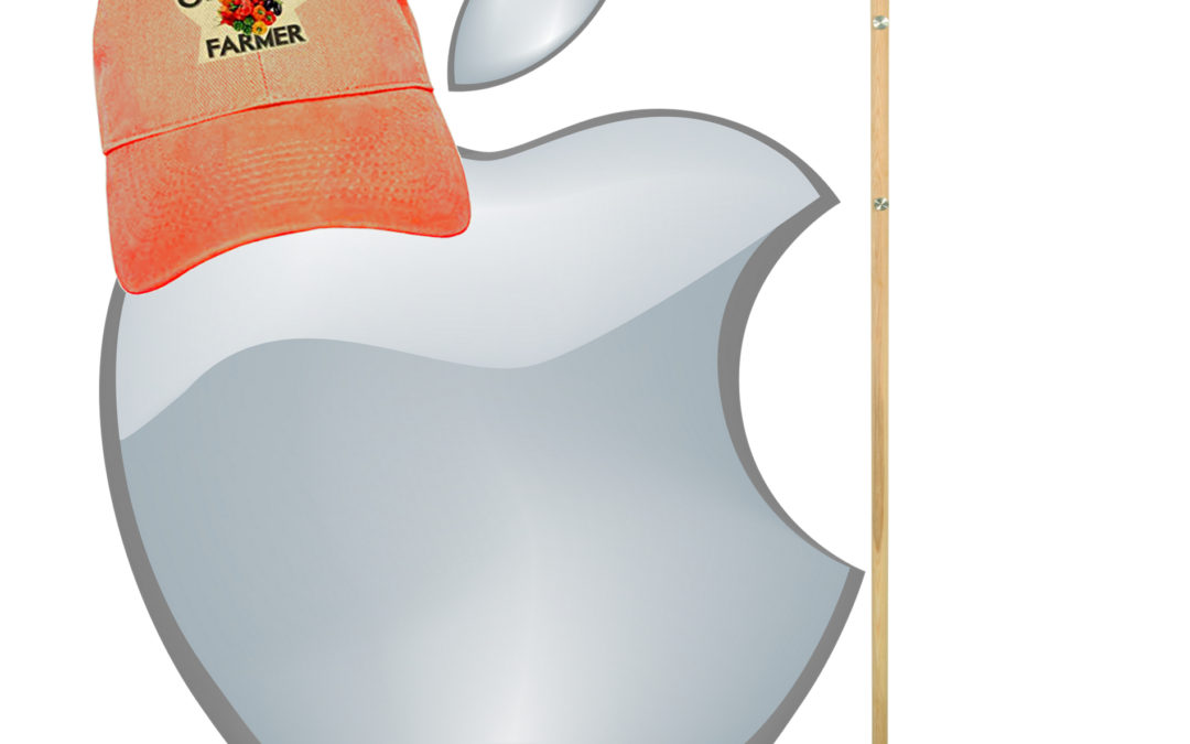 Apple’s Installed Base – Foundation for Success, or Curse?
